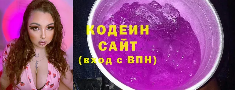 купить наркотики сайты  OMG ТОР  Codein Purple Drank  Андреаполь 