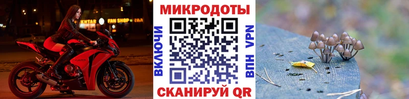 OMG онион  купить   Андреаполь  Галлюциногенные грибы Magic Shrooms 